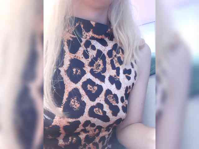 _LittleSammy webcam