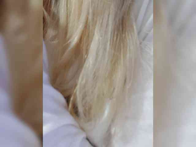_LittleSammy webcam