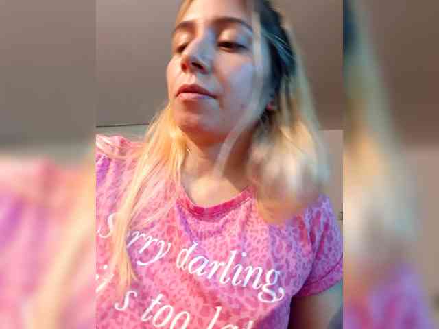 Modelo: _LittleSammy