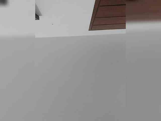 _LittleSammy webcam