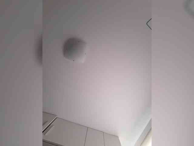 _LittleSammy