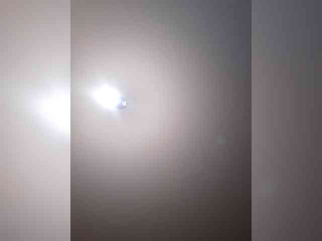 _LittleSammy webcam