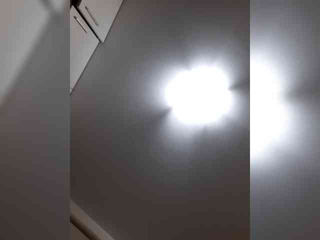 _LittleSammy webcam