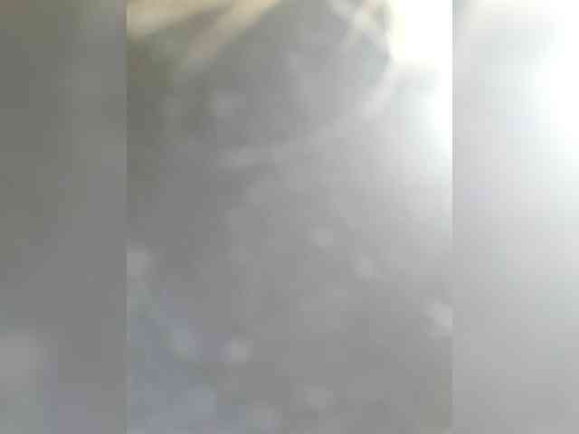 _LittleSammy webcam