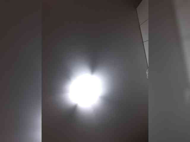 _LittleSammy