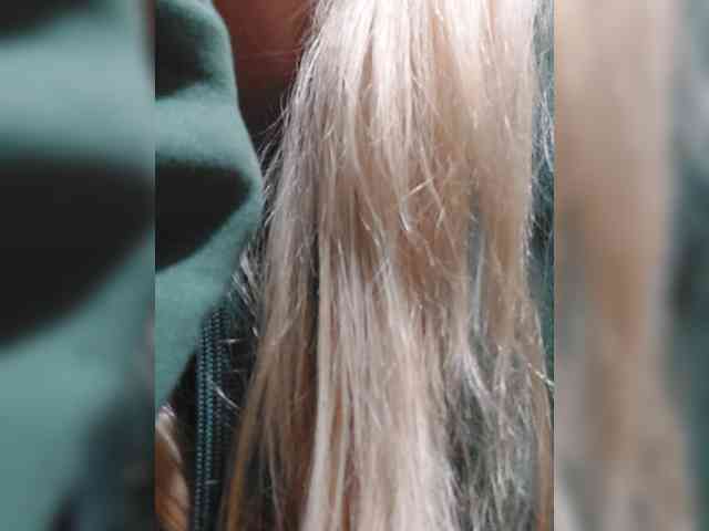 _LittleSammy webcam