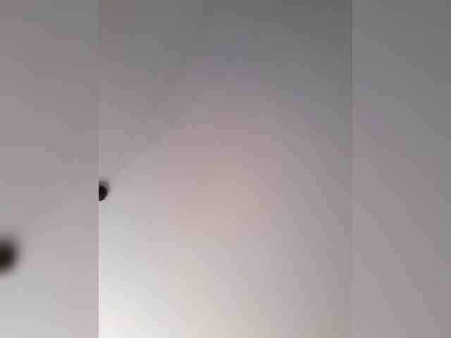 _LittleSammy webcam