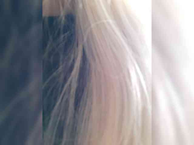 _LittleSammy