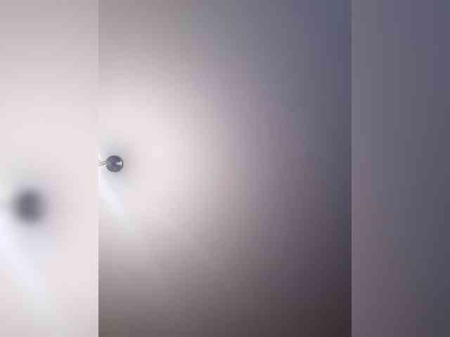 _LittleSammy webcam