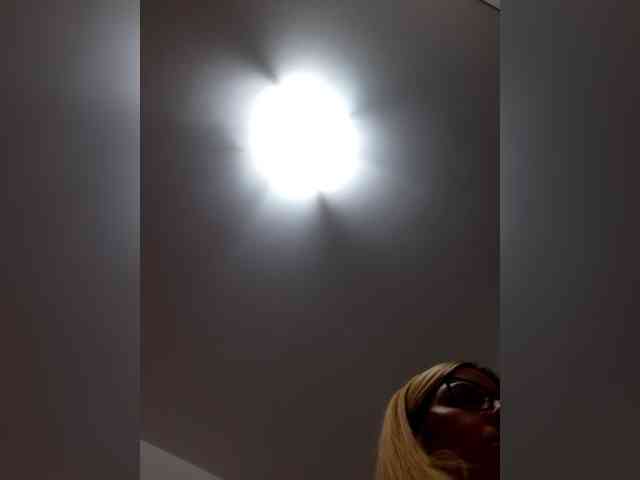 _LittleSammy webcam
