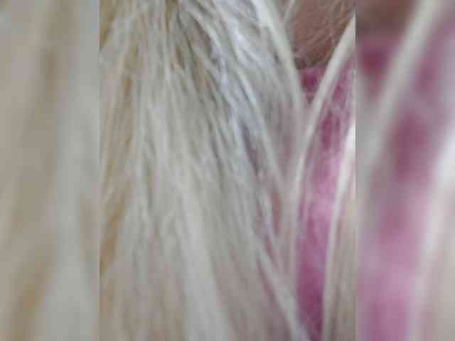 _LittleSammy webcam