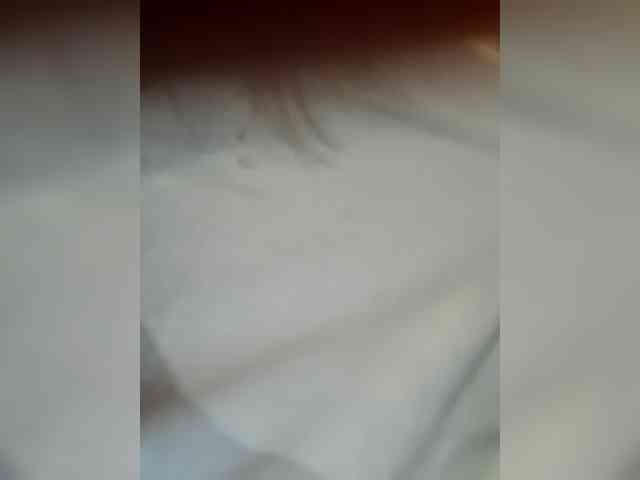 _LittleSammy webcam