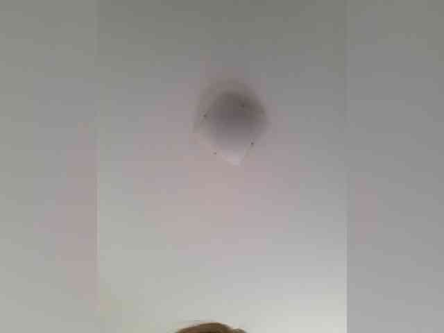 _LittleSammy webcam