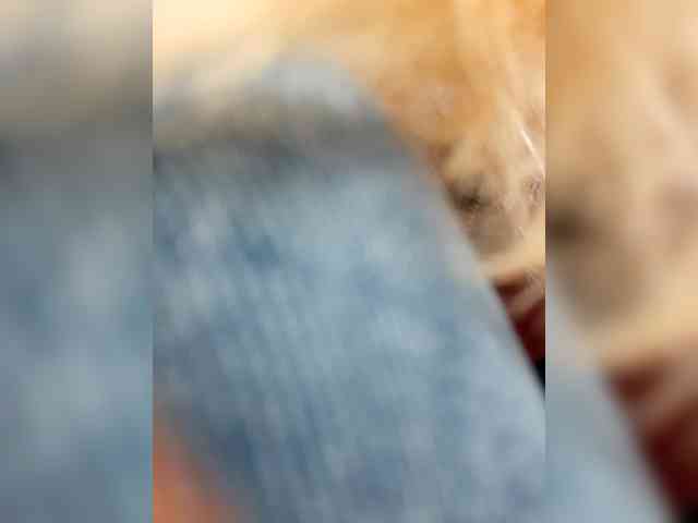 _LittleSammy webcam