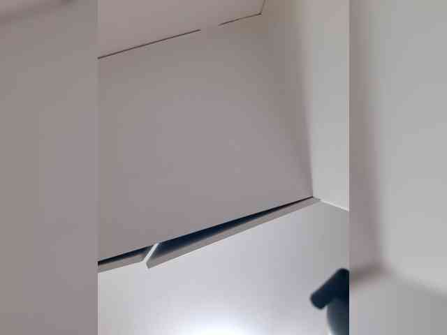 _LittleSammy webcam