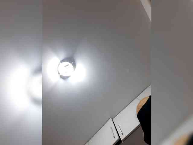 _LittleSammy webcam