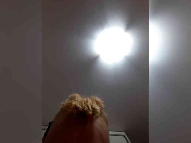 _LittleSammy webcam