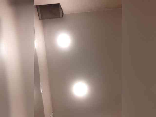 _LittleSammy webcam