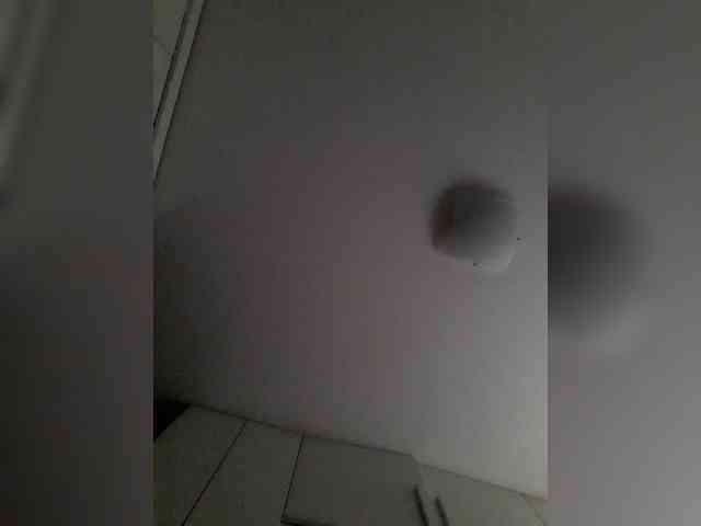 _LittleSammy webcam