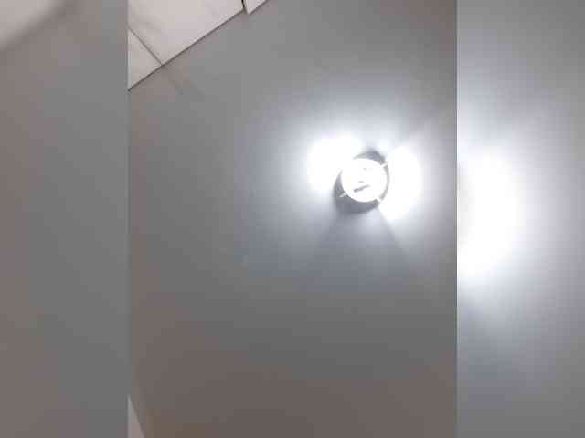 _LittleSammy webcam