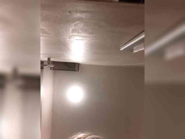 _LittleSammy webcam