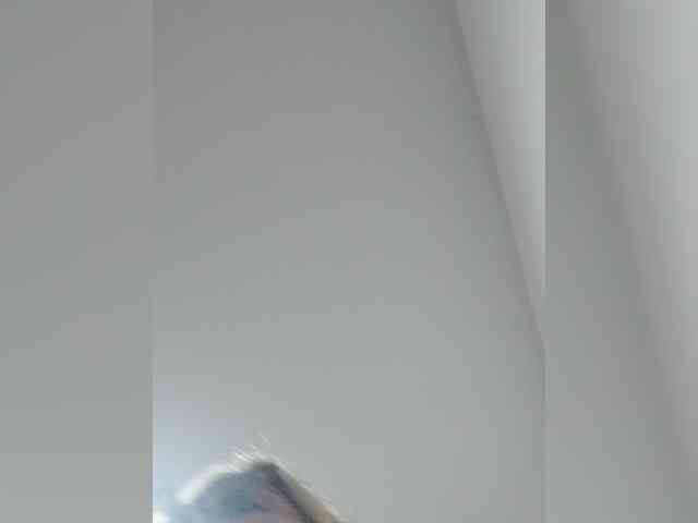 _LittleSammy webcam