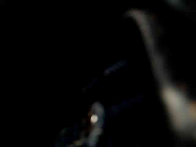 _LittleSammy webcam