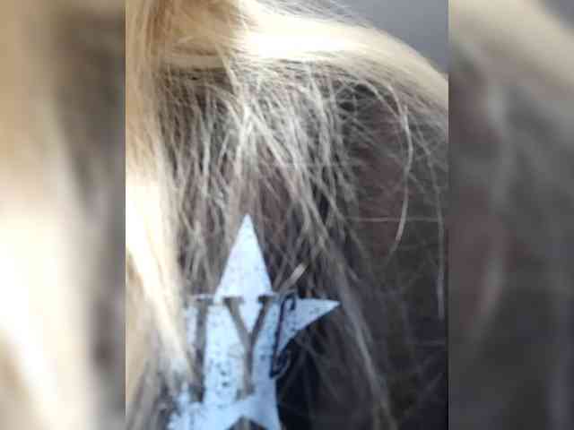 _LittleSammy webcam