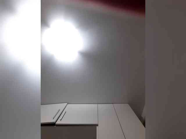 _LittleSammy webcam