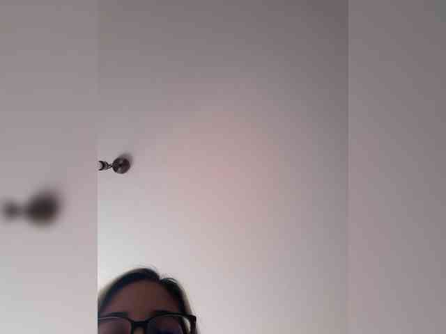 _LittleSammy webcam