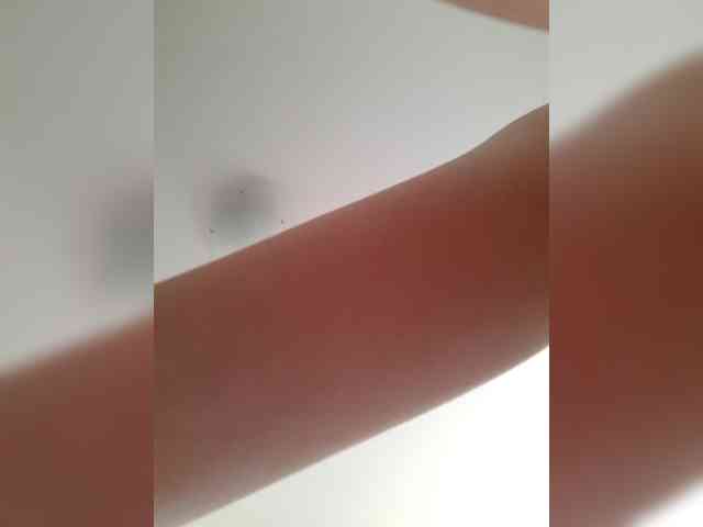 _LittleSammy