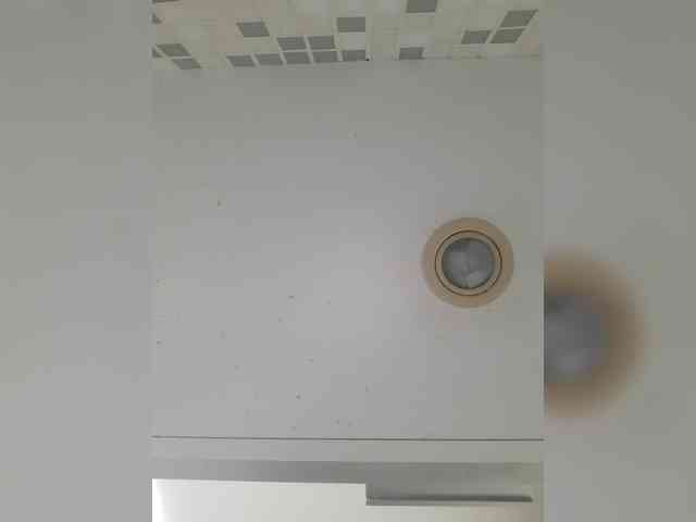 _LittleSammy webcam