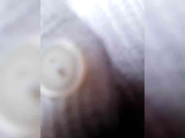 _LittleSammy