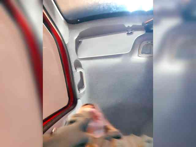 _LittleSammy webcam