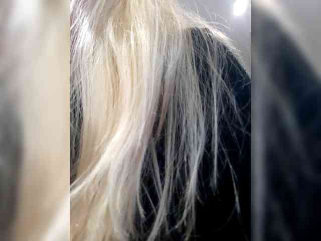 LittleSammy - Girl 