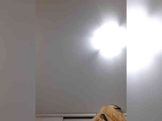 _LittleSammy