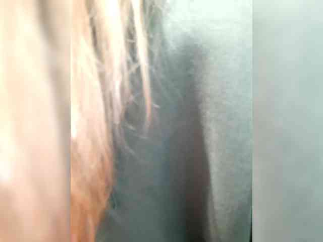 _LittleSammy webcam