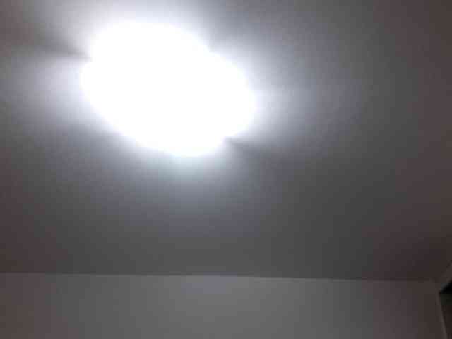 _LittleSammy webcam