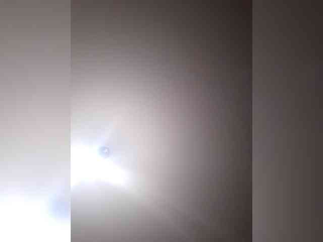 _LittleSammy webcam