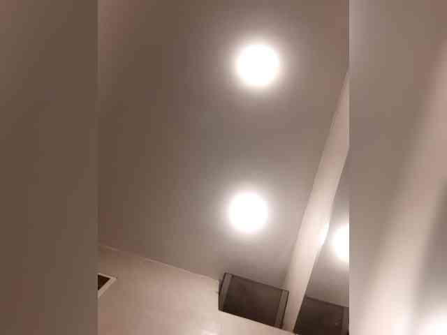 _LittleSammy webcam