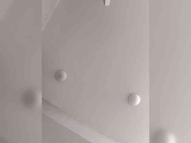 _LittleSammy webcam