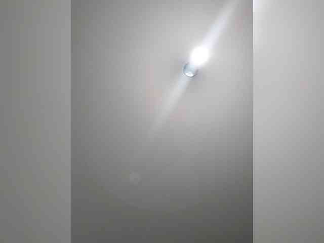 _LittleSammy webcam