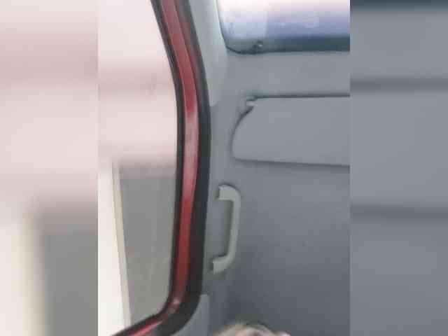 _LittleSammy webcam