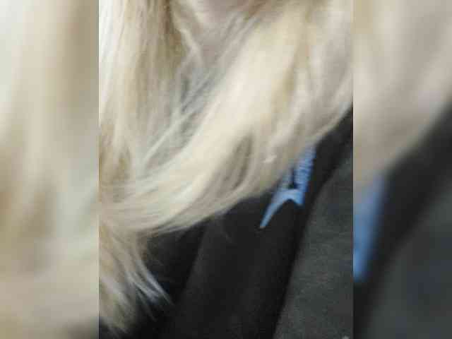 _LittleSammy