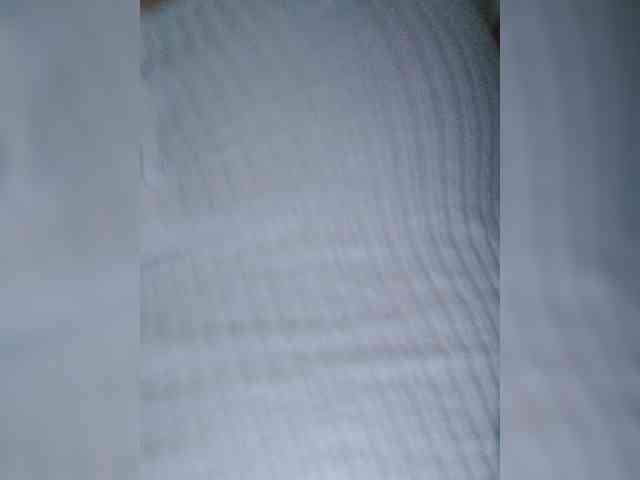_LittleSammy webcam