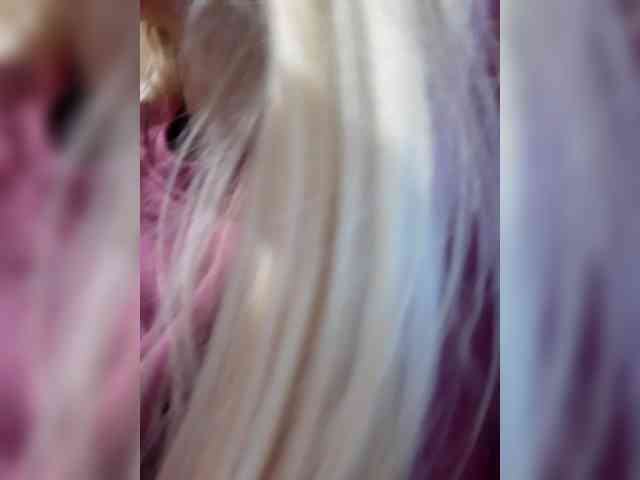 _LittleSammy webcam