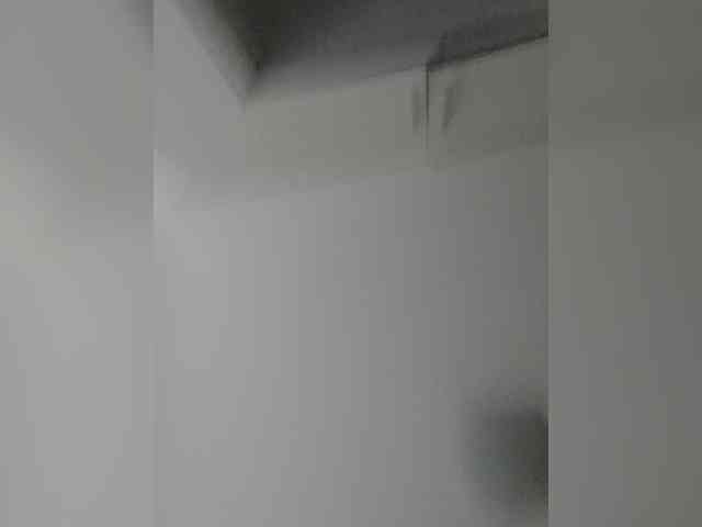 _LittleSammy webcam