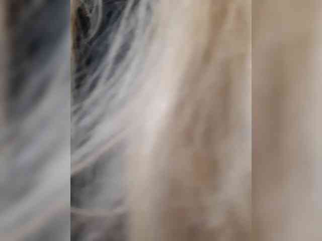 _LittleSammy webcam