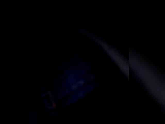 _LittleSammy webcam
