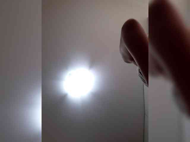 _LittleSammy webcam
